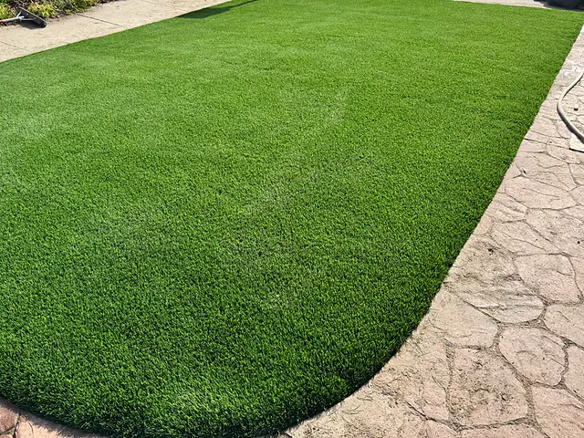 Freshly installed artificial turf lawn in a San José front yard